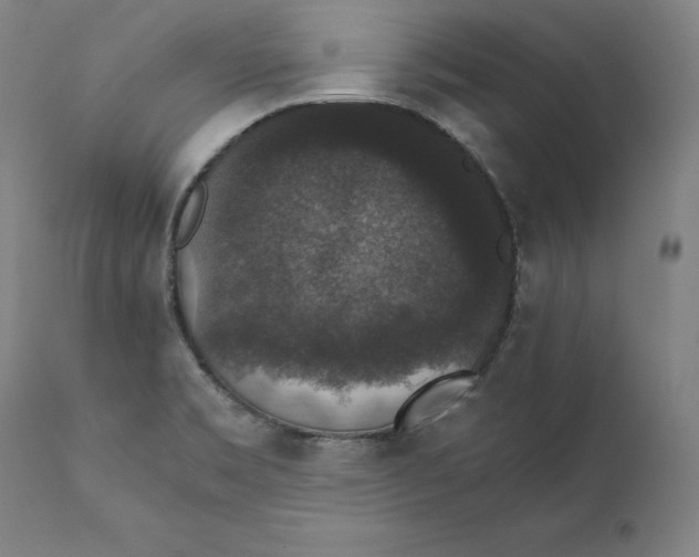 X0000110711469200907101232