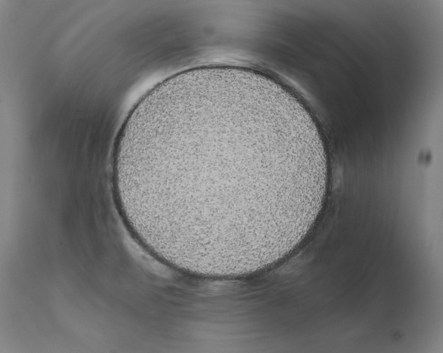 X0000110711471200907101232