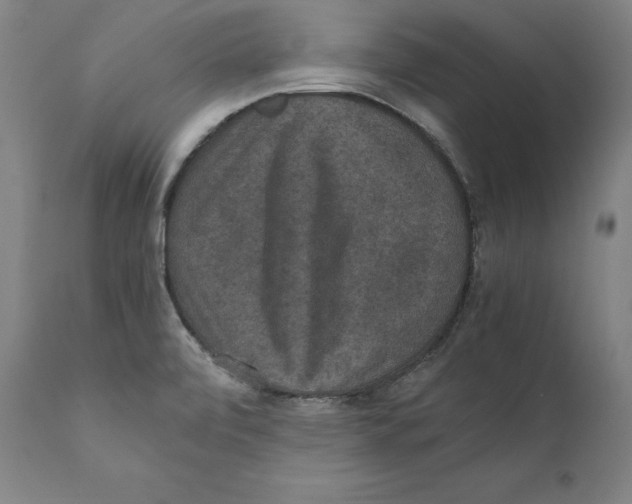 X0000110711472200907101232