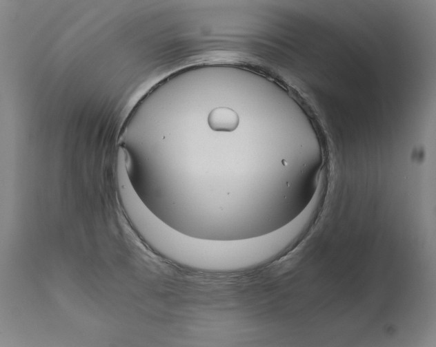 X0000110711473200907101232