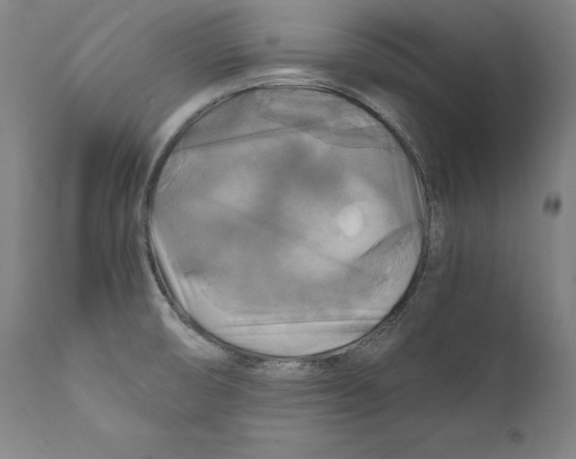 X0000110711474200907101232