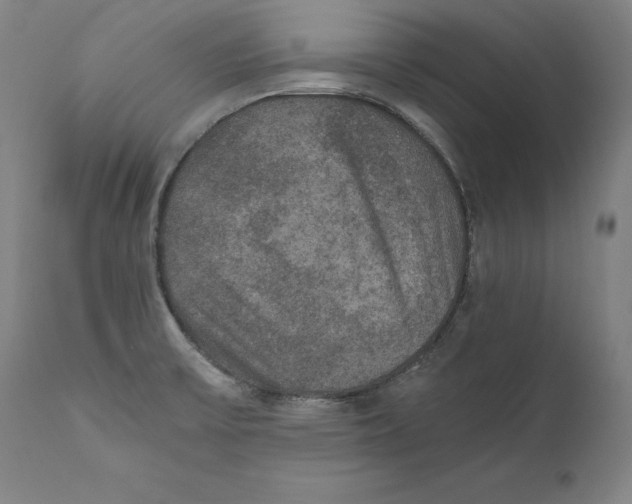 X0000110711475200907101232