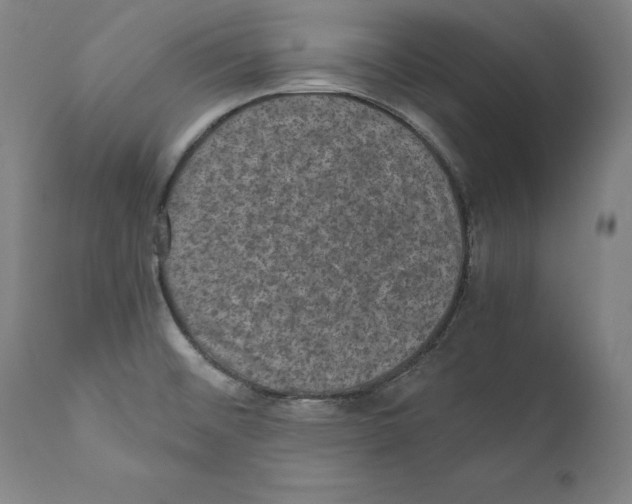 X0000110711476200907101232