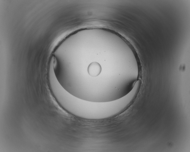 X0000110711477200907101232