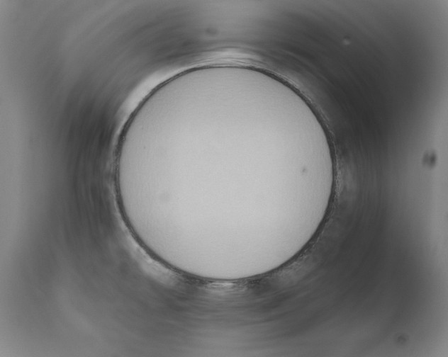 X0000110711478200907101232