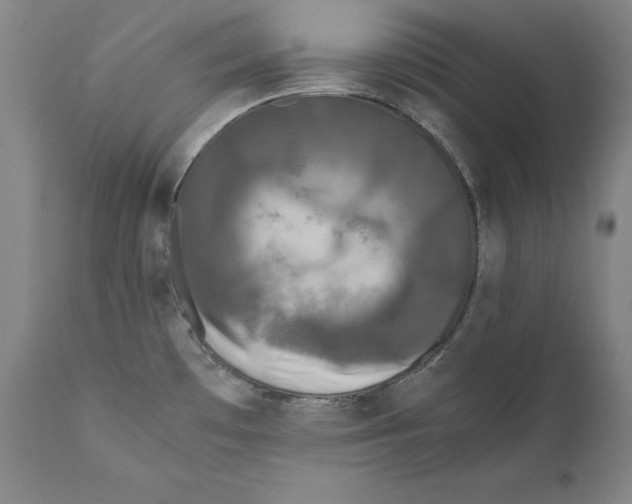 X0000110711481200907101232