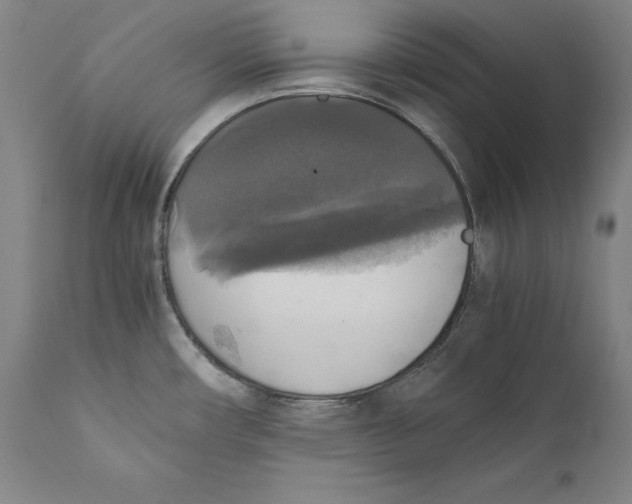 X0000110711482200907101232