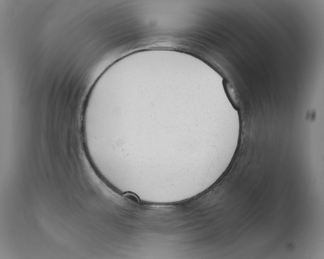 X0000110711483200907101232