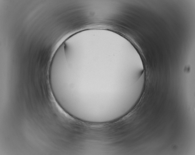 X0000110711484200907101232