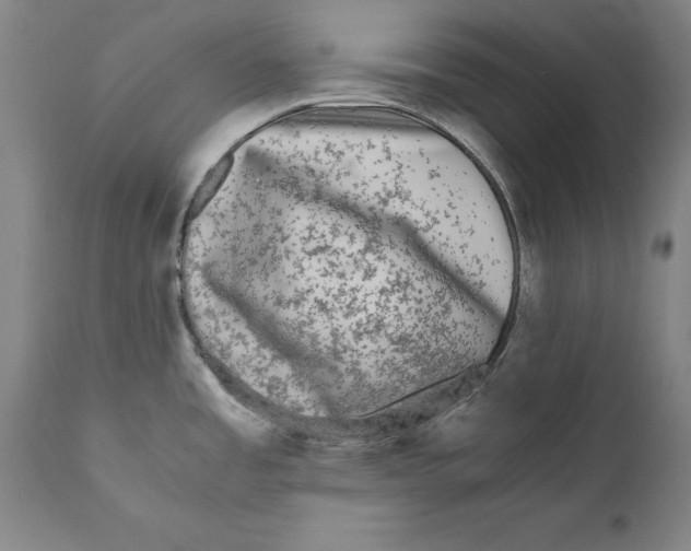 X0000110711485200907101232