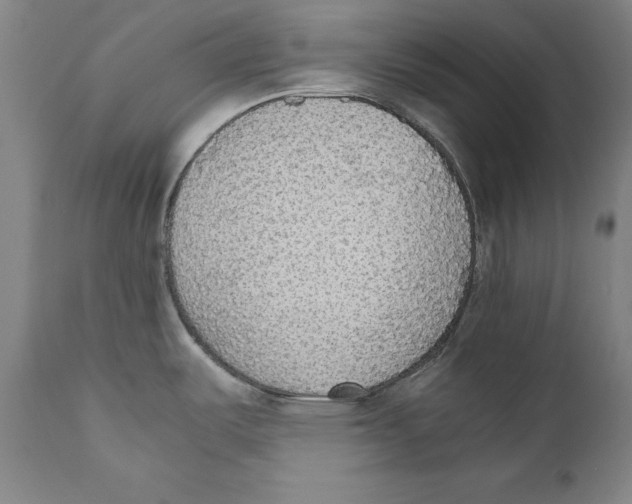 X0000110711487200907101232