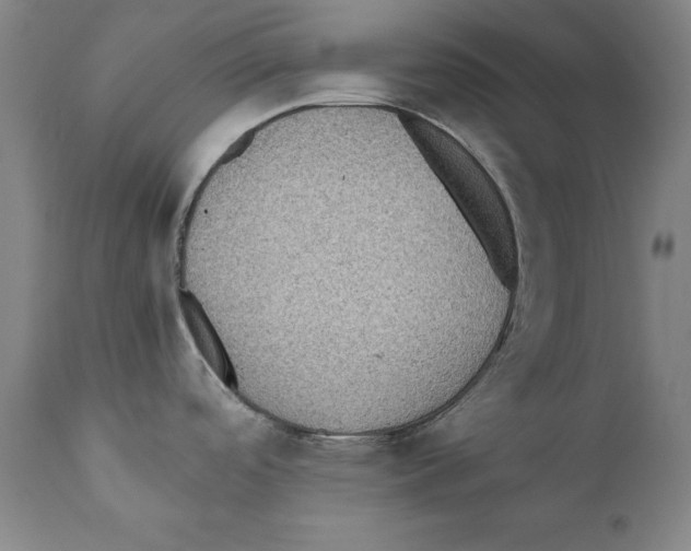 X0000110711488200907101232