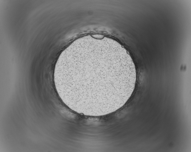 X0000110711489200907101231