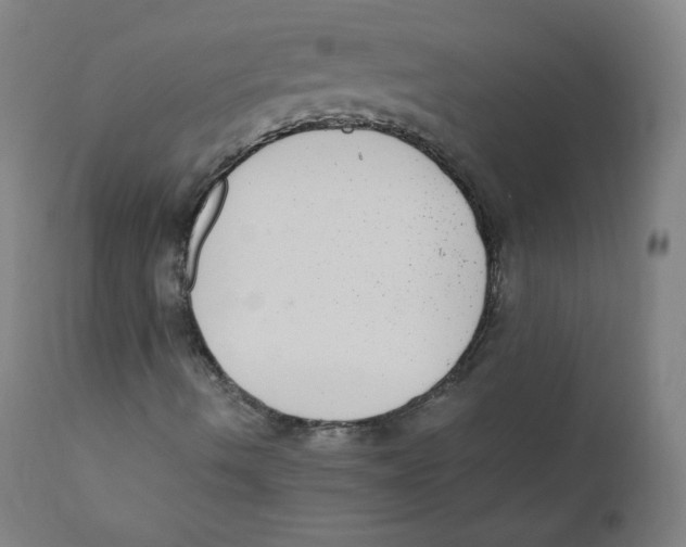 X0000110711490200907101232