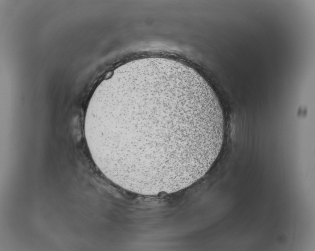 X0000110711493200907101232