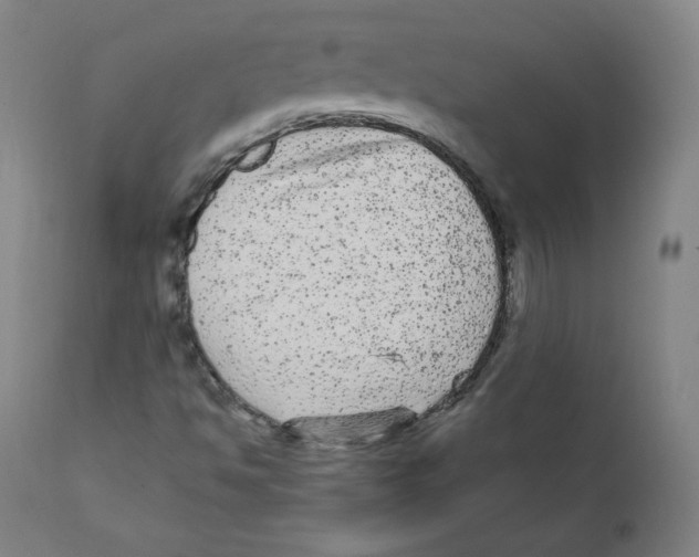 X0000110711494200907101232