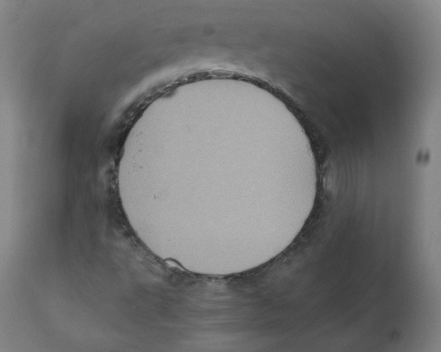 X0000110711495200907101232