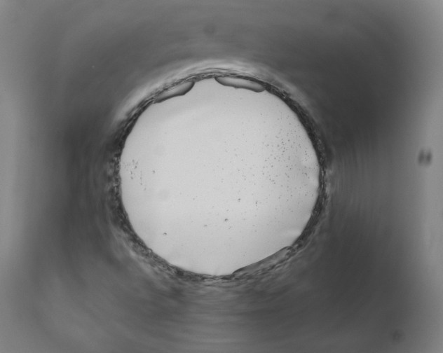 X0000110711496200907101232