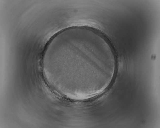 X0000110711497200907101232