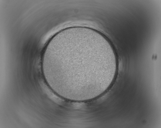 X0000110711498200907101232