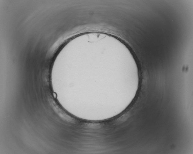 X0000110711499200907101232