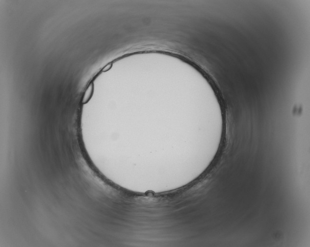 X0000110711500200907101232