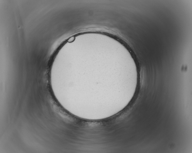 X0000110711501200907101232