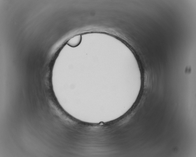 X0000110711502200907101232