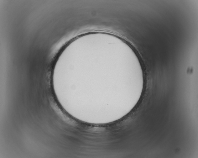 X0000110711503200907101232