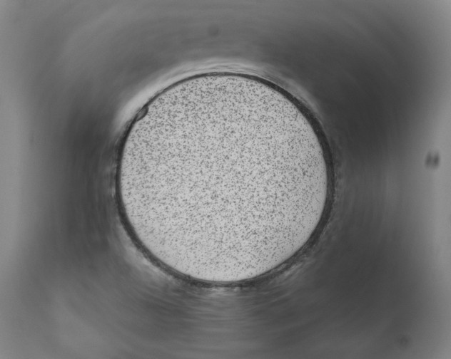 X0000110711504200907101232