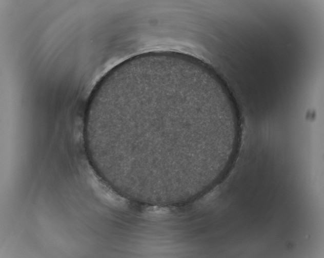 X0000110711505200907101232