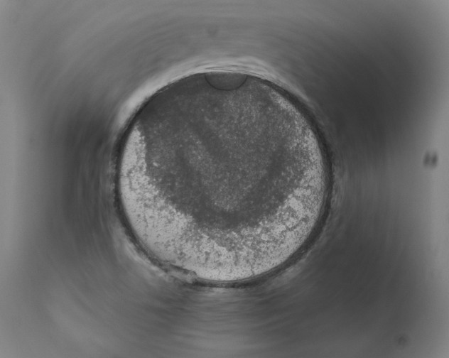 X0000110711506200907101232