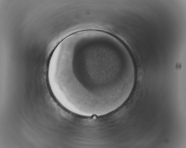 X0000110711508200907101232