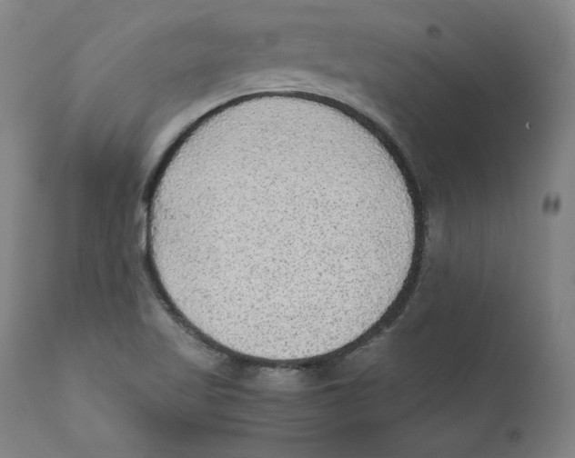 X0000110711509200907101232