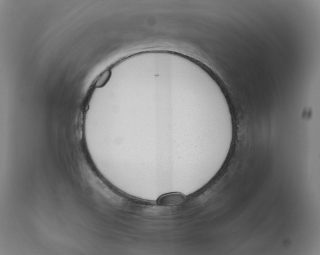 X0000110711510200907101232