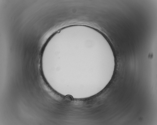 X0000110711511200907101232