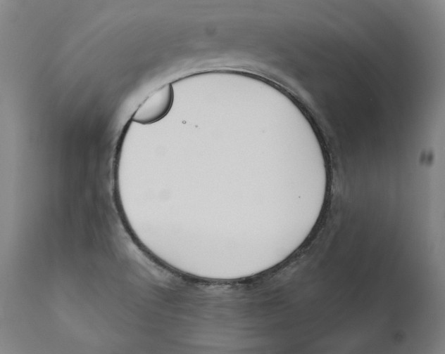 X0000110711512200907101232