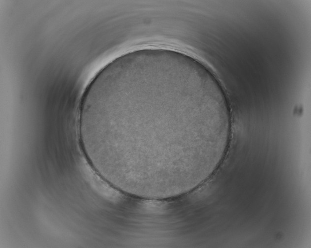 X0000110711514200907101232