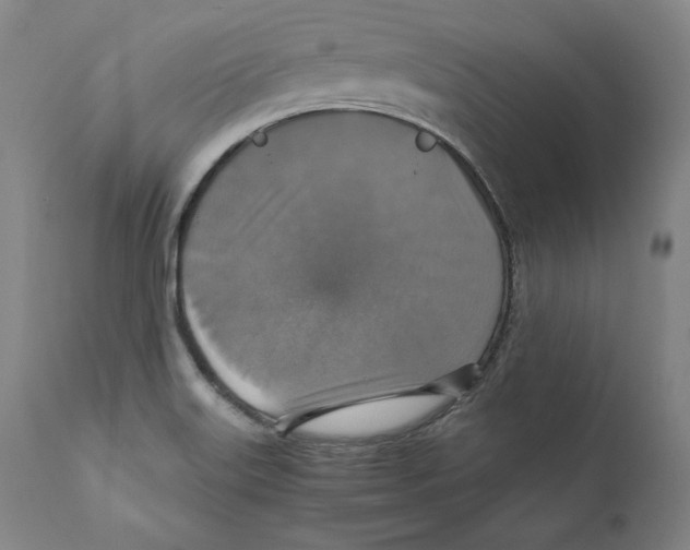 X0000110711515200907101232