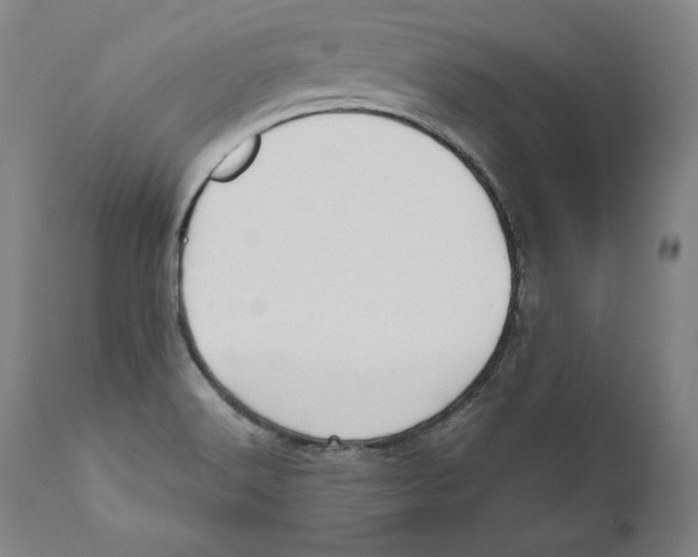 X0000110711516200907101232