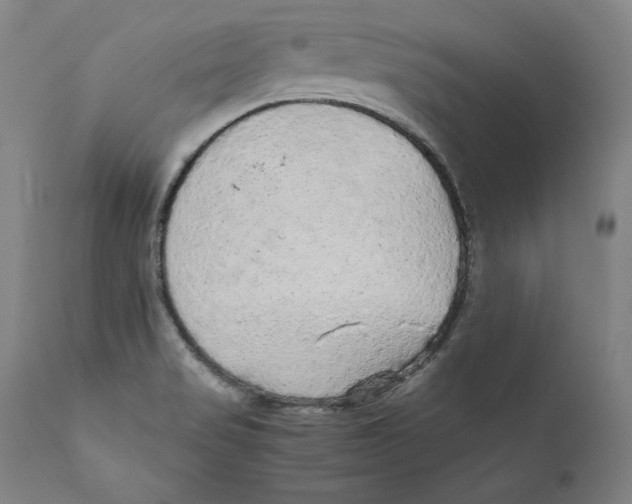 X0000110711517200907101232