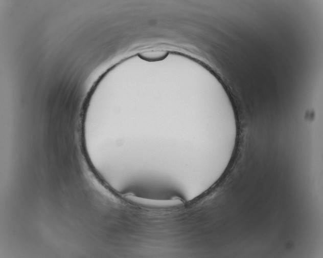 X0000110711518200907101232