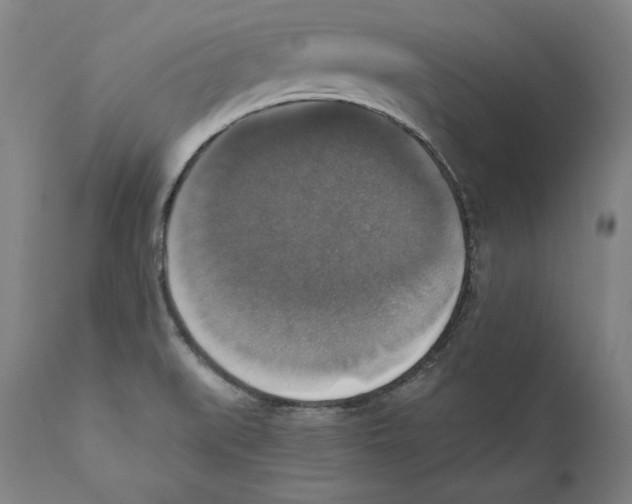 X0000110711519200907101232