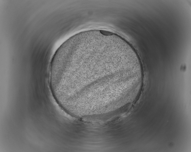 X0000110711520200907101232