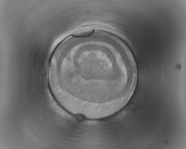 X0000110711522200907101232