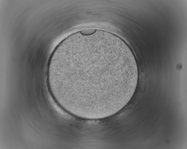 X0000110711523200907101232