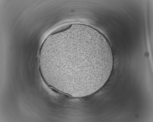 X0000110711524200907101232