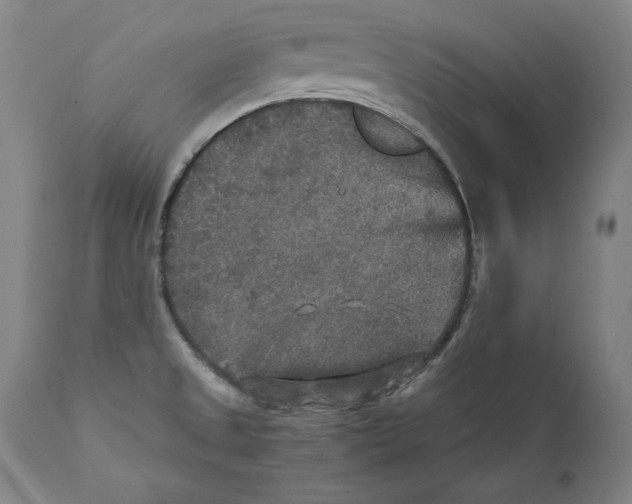 X0000110711525200907101232