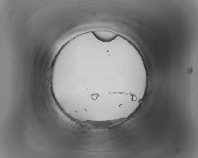 X0000110711526200907101232