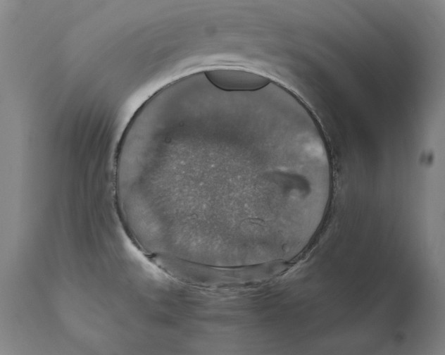 X0000110711527200907101232